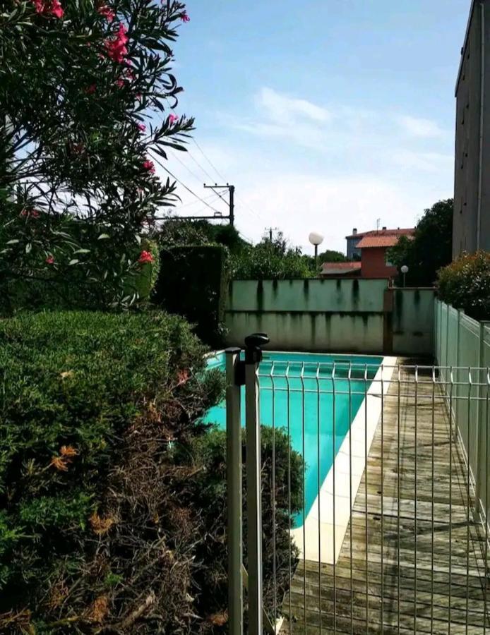 Bel Appartement Proche Du Canal Du Midi Toulouse Exterior photo
